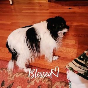 Meet your Posher, Jo